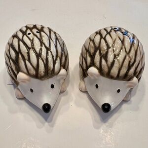 Hedgehog Salt & Pepper Shakers *NWT*